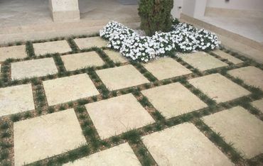 Mondo Grass installed in between concrete walkway