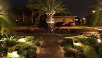Landscape LED Lighting