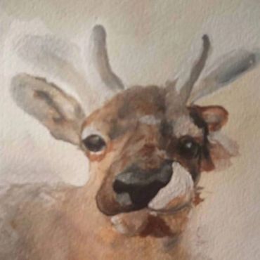 Watercolor painting of a deer with soft, muted tones.