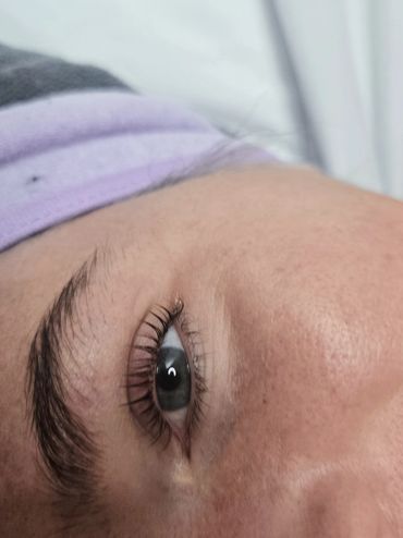 Lash Lift + Tint