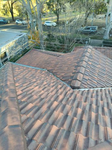 A tiled roof viewed from above with trees and parked cars in the background.