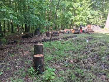 Cleaning the splitting site
