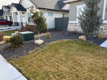 "Precision pruning - achieving the perfect shape and size for any bush.