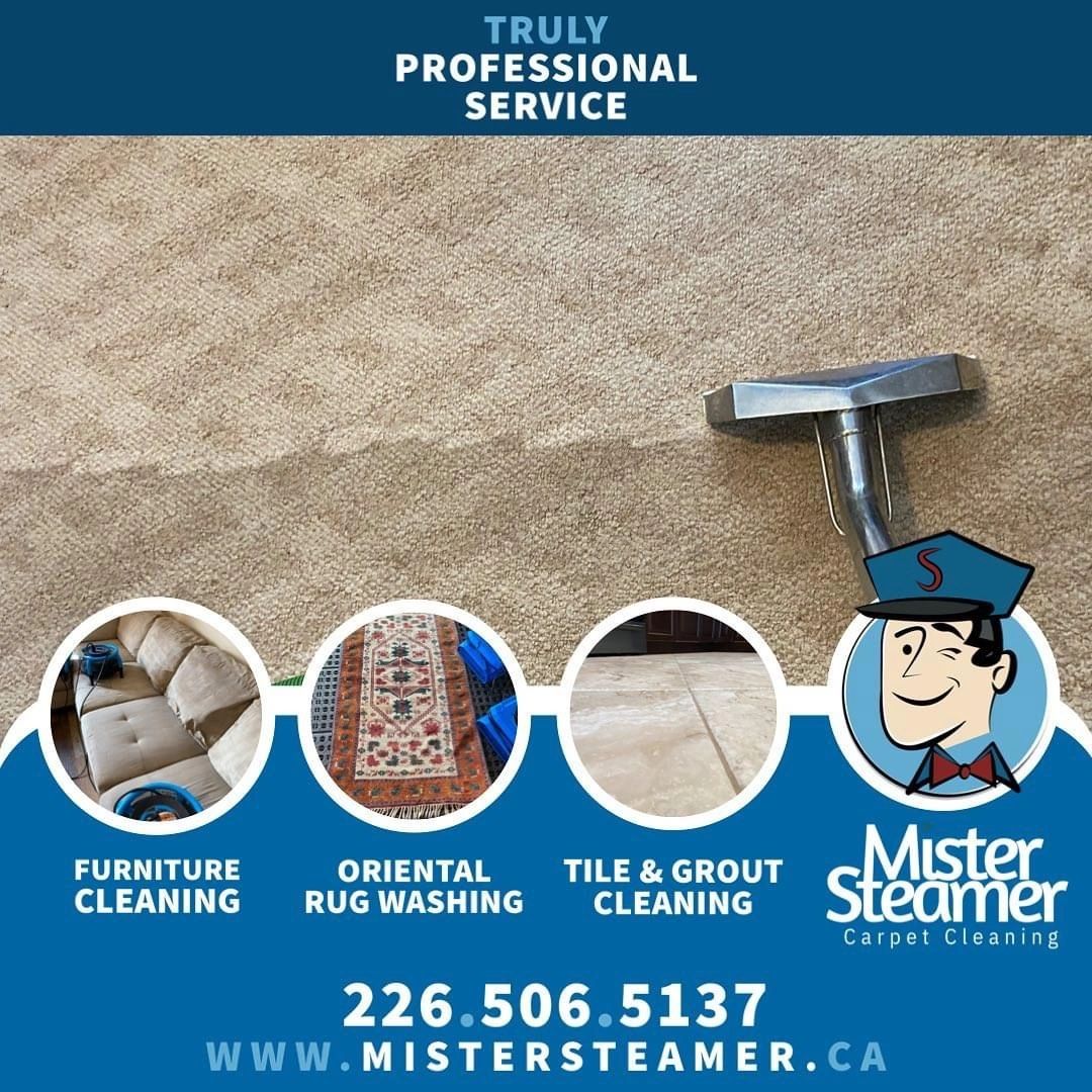 Professional carpet cleaning done by Mister Steamer near Windsor, Ontario