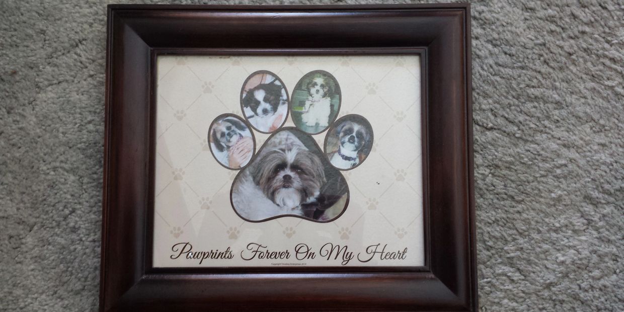 The Pawprints Forever On My Heart photo frame accommodates 5 photos  of your fury family member. 


