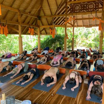 Group yoga session outdoors under a wooden pavilion.