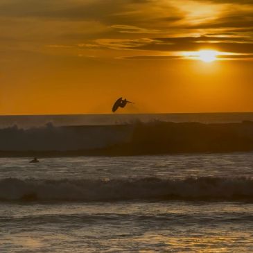 Surfer catching air during sunset over ocean waves.