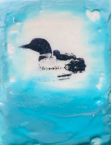 Baby loon and mother on the lake