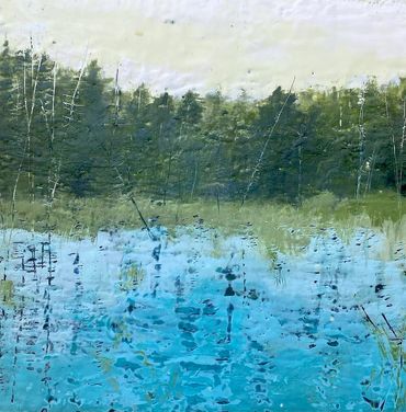 Ponds, marshlands, water, trees