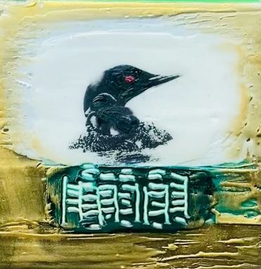 Loon and baby on the lake