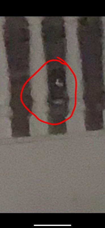 Little boy in an old theater