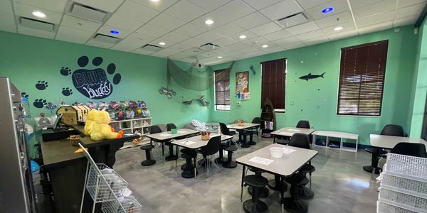 Windsor at Westside Children's Activity Room