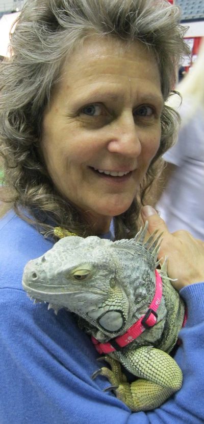 Terri works with cats, dogs, horses, pigs, birds and…other animals!