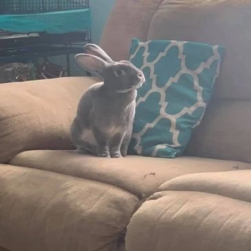 Bugs Thibault from Vermont Small Engine