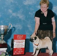 Am/Int'l CH Bre-z Manor's Broadway Bill
International Puppy Group 1