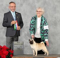 CH Brazos River Bre-Z Mark My Words