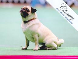 Brez-Z Manner of Speaking OA OAJ MXP AJP NFP