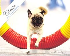 Brez-Z Manner of Speaking OA OAJ MXP AJP NFP