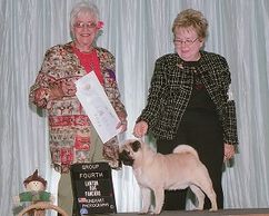 CH Bre-Z Sherfame Echo