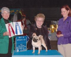 CH Dunning's Emily O' Bre-Z Manor