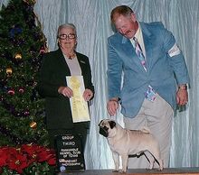 Am/Int'l CH Bre-Z Wind Fire and Ice
International Best in Show Puppy