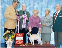 Am/Int'l CH Bre-Z Wind Fire and Ice
International Best in Show Puppy