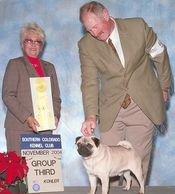 Am/Int'l CH Bre-Z Wind Fire and Ice