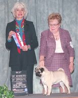 CH Bre-Z Manor Special Treat CD PCD BN RAE SCN SIN CGCA