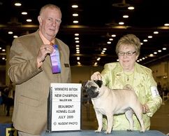 CH Bre-Z Manor Special Treat CD PCD BN RAE SCN SIN CGCA