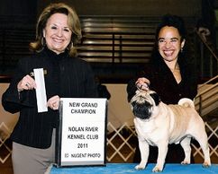 GCH Bre-Z Manor's Cruise 'n Bentley