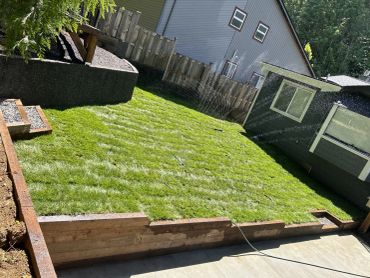 Backyard with green grass being watered by sprinklers near wooden fences and houses.