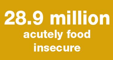 28.9 million people in Sudan are acutely food insecure
