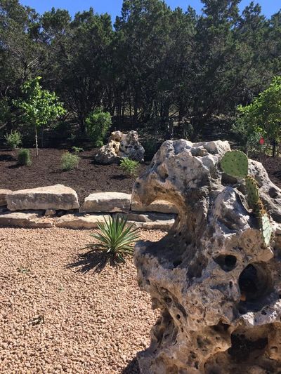 Zen gardens Texas style!