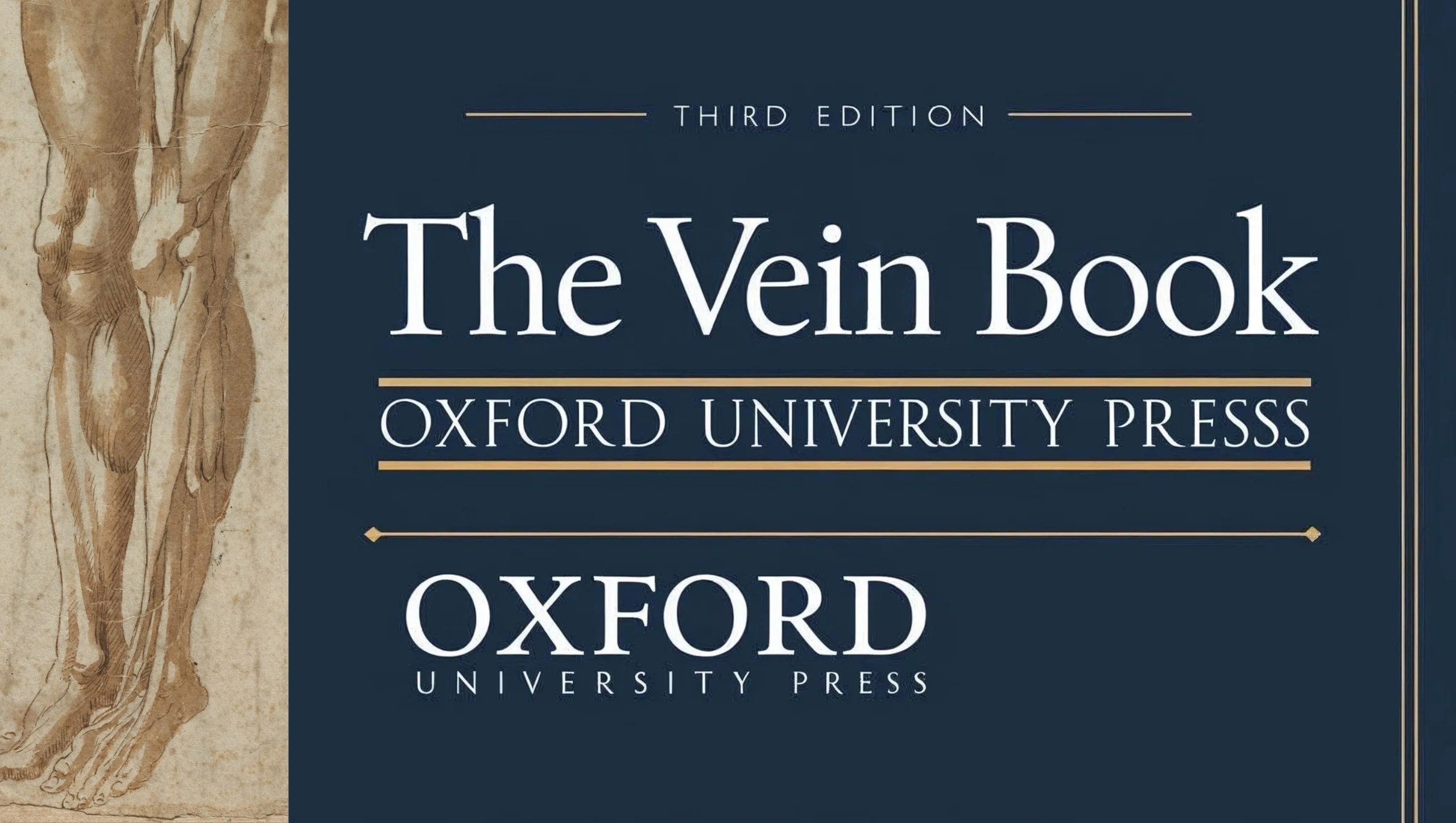 Stack of books next to pencils in a holder and a camera.