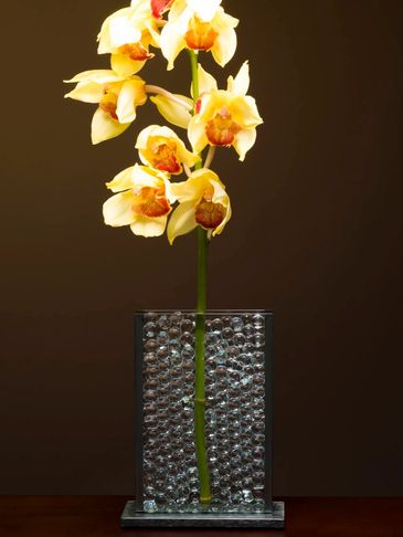 Vertical Glass Vase V 3