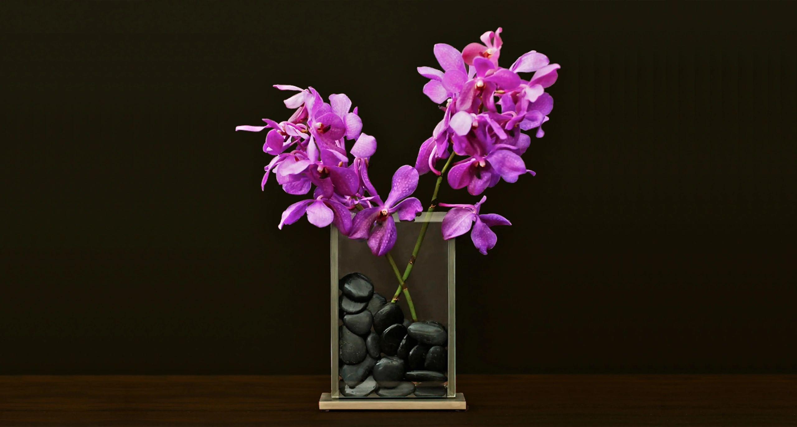 Purple orchids with black rocks in V2 vertical vase.