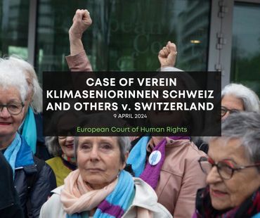 CASE OF VEREIN KLIMASENIORINNEN SCHWEIZ AND OTHERS v. SWITZERLAND