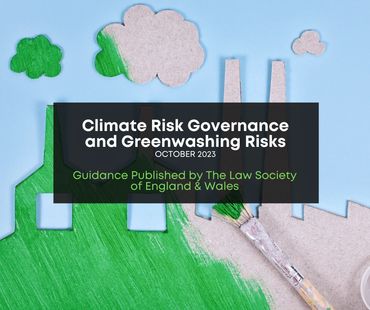 Climate risk governance and greenwashing risks