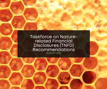 Taskforce on Nature-related Financial Disclosures (TNFD) Recommendations