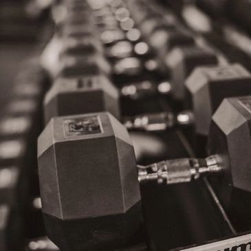 Dumbells and free weights at Bison Fitness Center and Martial Arts