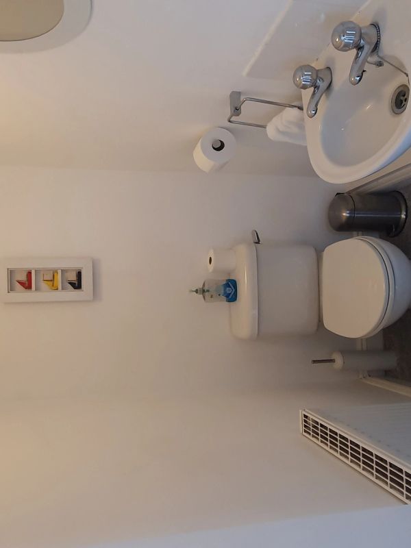 Compact bathroom with toilet, sink, and simple decor.