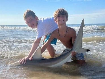 BLACK TIP SHARKS FOR THE KIDS SURF FISHING