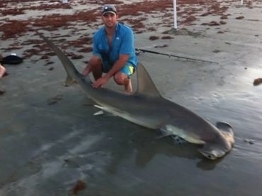 LAND BASED SHARK FISHING SCALLOPED HAMMERHEAD
