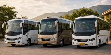 Three parked buses in a scenic outdoor setting.
