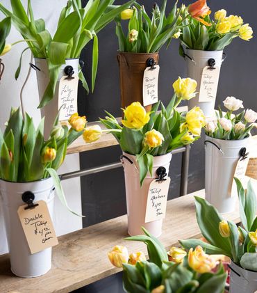 Yellow and orange tulips in metal vases with price tags on a wooden shelf.