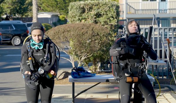 Kelp Restoration Divers gear up at a Meetup