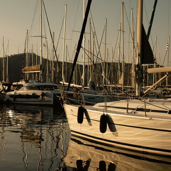 Boats docked in a marina during golden hour.