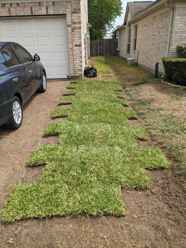 Grass installation.