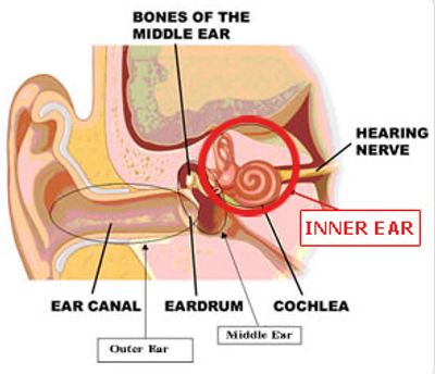 violin cello repair Manchester Chester Wirral Cheshire Shropshire Lancashire Midlands London