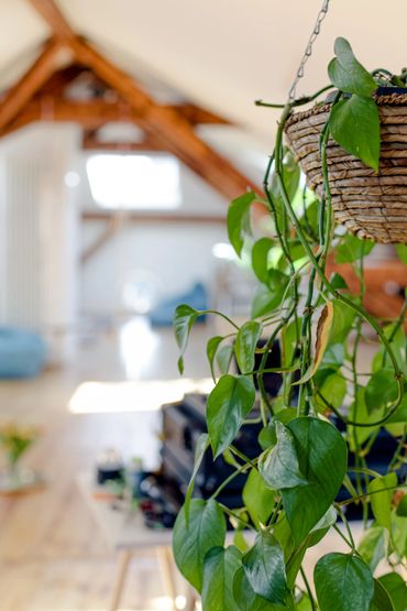 Coaching Karlsruhe - Galerie